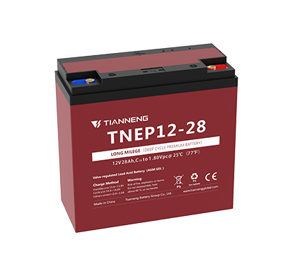 TNEP12-28
